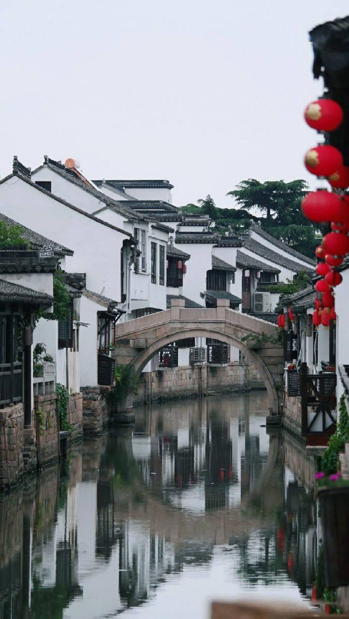大白菜怎么炒才好吃？游戏画面